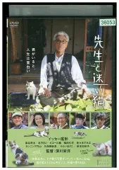 2024年最新】dvd 邦画 先生と迷い猫の人気アイテム - メルカリ