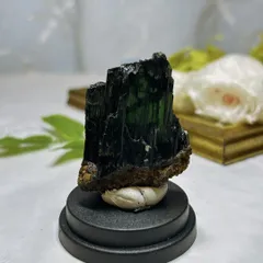 ビビアナイト 貝 鉱物 標本 原石