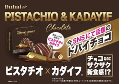 ドバイチョコ ドウシシャ ミニ ピスタチオ カダイフ 韓国 デザート 48g 1個 送料無料