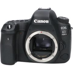 Canon EOS6Dレンズセット バッテリー5個 ストロボ 一脚 モニター等 