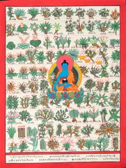 ◇四部医典系列挂図全集◇チベット医学書◇サンスクリット中国