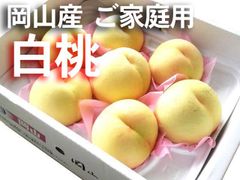【冷蔵便】岡山産　白桃　約1.5ｋｇ1箱（5～7玉入り）　桃　ご家庭用