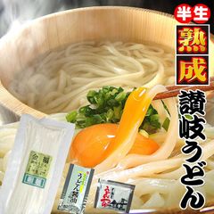 20時間熟成 半生 細麺 讃岐うどん つゆ付きセット 便利な個包装 750g 送料無料 N36