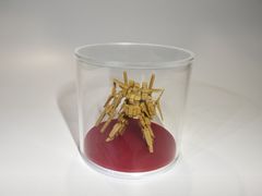 アクリル小型ケース100φサイズ（台座白マット）色板（赤）付き