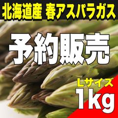 【期間限定】北海道産 春アスパラ Lサイズ 1kg
