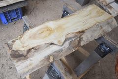 アウトレット トチ(橡)の一枚板 長さ約81cm 幅約24～31cm 厚さ約3.9cm DIY用 Z141