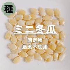 オクラ種15粒　冬瓜タネ15粒　トウガン　自家採種　収穫夏以降　農薬不使用 オクラ種15粒 冬瓜タネ15粒 トウガン 自家採種 収穫夏以降 農薬不