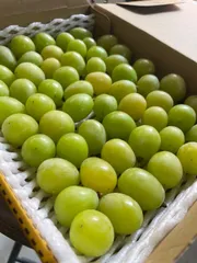 kayo7010様専用‼️