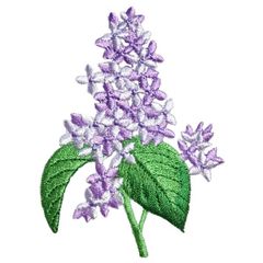 アップリケワッペン ライラック ステム  リラ ムラサキハシドイ 紫丁香花 フラワー