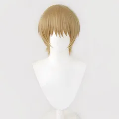 夏目友人帳　式夏目　コスプレ　まとめ売り　夏目貴志　ウィッグ　ツノ Amazon.co.jp: 夏目友人帳 コスプレ 角 夏目貴志 アクセサリー