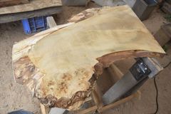 アウトレット トチ(橡)の一枚板 長さ約74cm 幅約20～48cm 厚さ約3.8cm DIY用 Z153