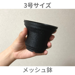 3Dプリンター植木鉢 メッシュ鉢３号サイズ(ブラック) 〈多肉植や塊根植物用 アガベ・パキポディウムに〉