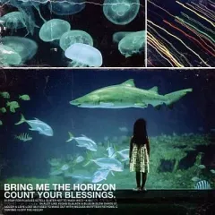 【中古】 Count Your Blessings ブリング・ミー・ザ・ホライズン Amazon.co.jp: Count Your Blessings: ミュージック
