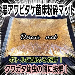 2024年最新】ギラファ、の人気アイテム - メルカリ