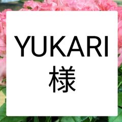 バラ 3色 40センチ３０本切り花生花