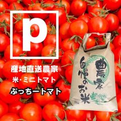 ミニトマト 10キロ 野菜 熊本産地直送 弁当 おかず トマト ミネラル