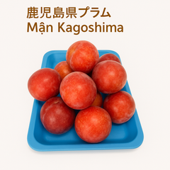 「6/10日発送」鹿児島のスモモ 1kg 約20-25個・Kagoshima Plum・Mận giòn Kagoshima