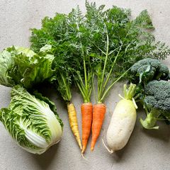 冬野菜セット:) 淡路島産　無農薬　減農薬　野菜　セット