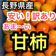 【クール便送料無料】　甘柿2㌔訳あり　長野県産