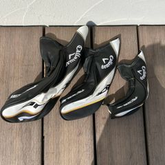 Item thumbnail for item d0efa226-aeb2-414e-a337-c377779a6b05