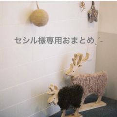 セシル様専用　木の実セットおまとめˎˊ˗