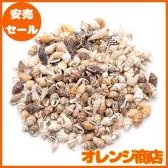 [GOLD STONE] 貝殻 パーツ レジン フトコロガイ 10g シェル 材料 おうち時間 制作 ハンドメイド 工作 天然 貝 素材 巻貝 50個前後