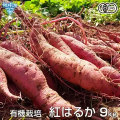 有機紅はるか 9kg 有機栽培 鹿児島県産 宮崎県産 1本100～500g 土付 さつまいも サツマイモ べにはるか 国産 有機JAS オーガニック 2025年産 令和7年産 発送期間8月～