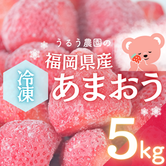 【減農薬】即日冷凍！福岡県産冷凍いちご 5kg