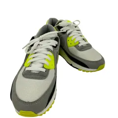 ナイキ NIKE AIR MAX 90 Volt/Particle Grey メンズ JPN：28 のサムネイル