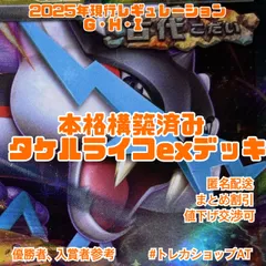19ポケモン　タケルライコex 本格構築済みデッキ　現行レギュGHI スリーブ　ポケモンカード