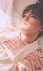 SEVENTEEN Your Choice DINO トレーディングカード