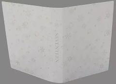 [중고] 포토 프레임·앨범 SEVENTEEN(로고 실버) 케이스 [이치반 복권 SEVENTEEN WINTER From PLEDIS ENTERTAINMENT] B상