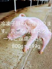 爬虫類用エサ　冷凍子豚 847g 856g 872g（3匹セット）
