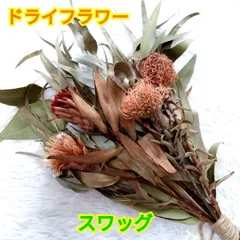 2025年最新】プロテア スワッグの人気アイテム - メルカリ