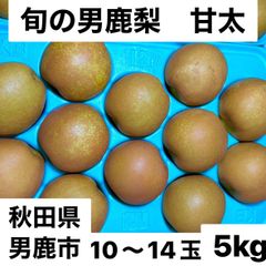 男鹿梨「甘太」5kg 【家庭用】  大将梨園　秋田県男鹿市産