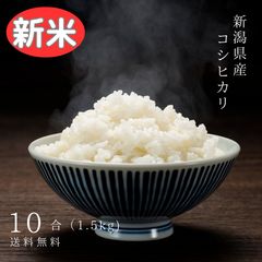 新潟　聖籠産　里芋　B品　約5㎏ 聖籠産米・砂里芋セット【JA北新潟ブランド里芋】2024年11月中旬