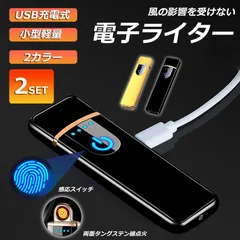 電子ライター usb ライター 電子ターボライター 2個セット 充電式ガス オイル不要 防風軽量 キャンプ バーベキュー 登山 プレゼント たばこ おしゃれのサムネイル