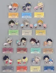 【中古】キーホルダー 全14種セット 「ハイキュー!!×サンリオキャラクターズ POP UP コーナー in TSUTAYA アクリルスタンドキーホルダーコレクション」 TOHO animation STORE限定