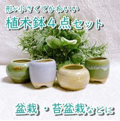 ハニカム苔玉 選べる4個 Lサイズ 白黒苔砂陶 多肉 ビカクシダ 蘭
