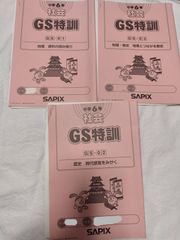💖大人気！中学受験SAPIX 小6 社会　GS特訓　サピックス　解答付！