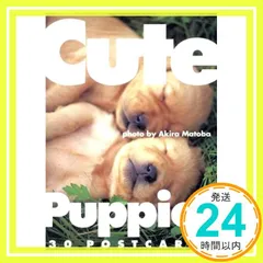 Cute Puppies_02