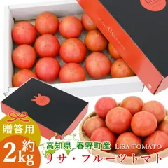 諸木直送 トマト Lisa フルーツトマト 贈答用 2箱 100日トマト 春野町 高糖度トマト 高知産 高知 糖度8度以上 高知県産 ふるーつとまと 約2キロ 宅急便