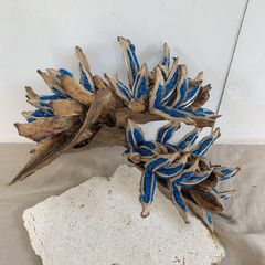 旅人の木A級品 ７節 旅人の木 開花前①5節 - メルカリ