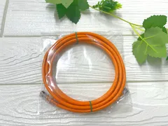 【2本以上のご購入がお得！まとめ買い大歓迎！】CAT6 LANケーブル　オレンジ　3m1本パッチコード