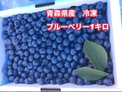 2024年最新】blueberry farmの人気アイテム - メルカリ