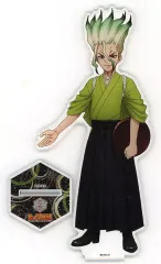 【中古】アクリルスタンド・アクリルパネル 石神千空 ビッグアクリルスタンド 「Dr.STONE×AMO CAFE コラボレーションカフェ 科学料亭」