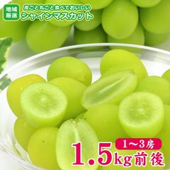 【8月下旬から順次ご発送】予約 送料無料 地域厳選 シャインマスカット 1～3房 1.5kg 前後 ご家庭用 マスカット ぶどう ギフト お中元 暑中見舞い 敬老の日 ギフト プレゼント