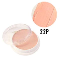 新品☆ 三善  どーらん 肌色 22P グリースペイント