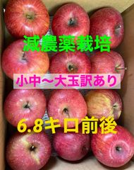 減農薬栽培山形県東根市産ふじりんご大人気⭐︎訳あり6.8k前後入り段のみ仕切り
