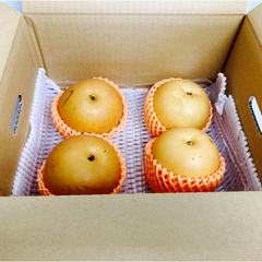【選果落ち 訳あり商品】熊本県産 梨 約3kg サイズ不揃い 【002】規格外 家庭用 贈答不可 加工用 幸水 豊水 あきづき 新高 なし 果物 くだもの  果物 フルーツ  発送予定日 8月下旬
